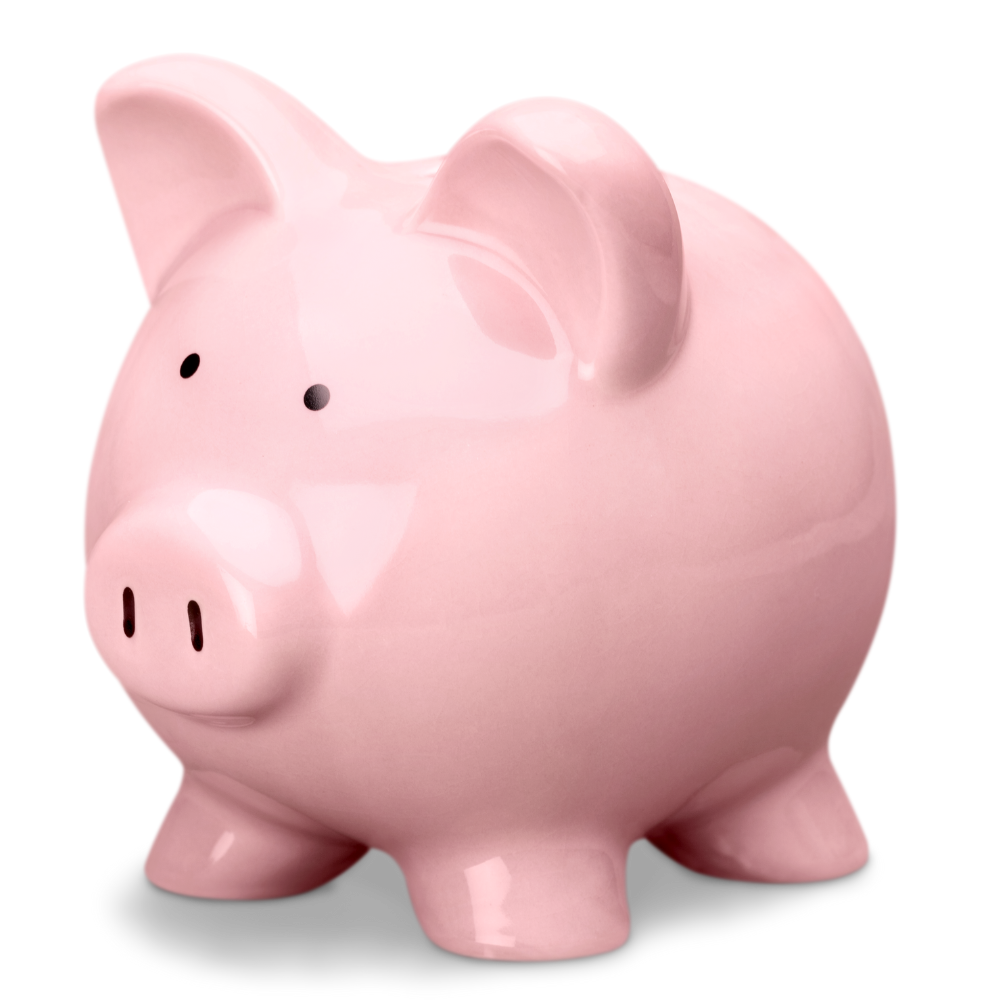 Pink Piggy Bank