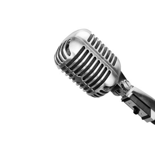 Metal Microphone