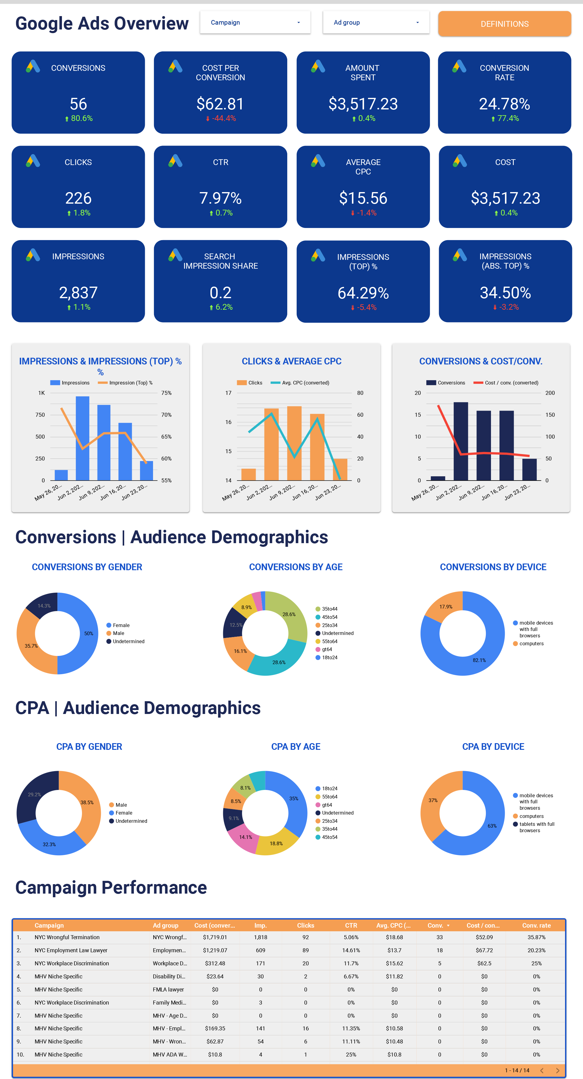FirmMetrics - Google Ads Section